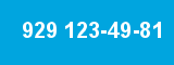 929 123-49-81